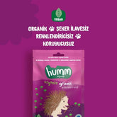 Nessiworld Humm Organik Vegan Pancarlı Grissini 55 Gr